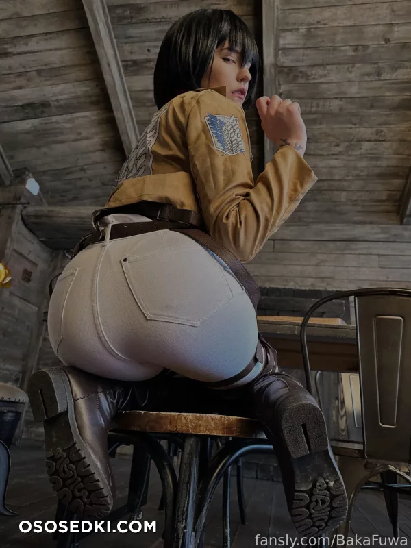 Fuwa Baka - Mikasa Ackerman - Shingeki No Kyojin | Attack On Titan - 10