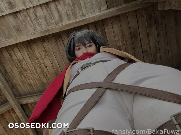 Fuwa Baka - Mikasa Ackerman - Shingeki No Kyojin | Attack On Titan - 6
