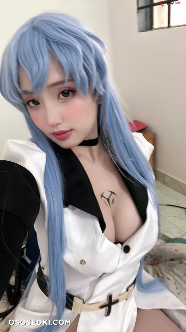 Puypuy プィプィ (Puypuychan) cosplay Esdeath - Akame ga kill - 29