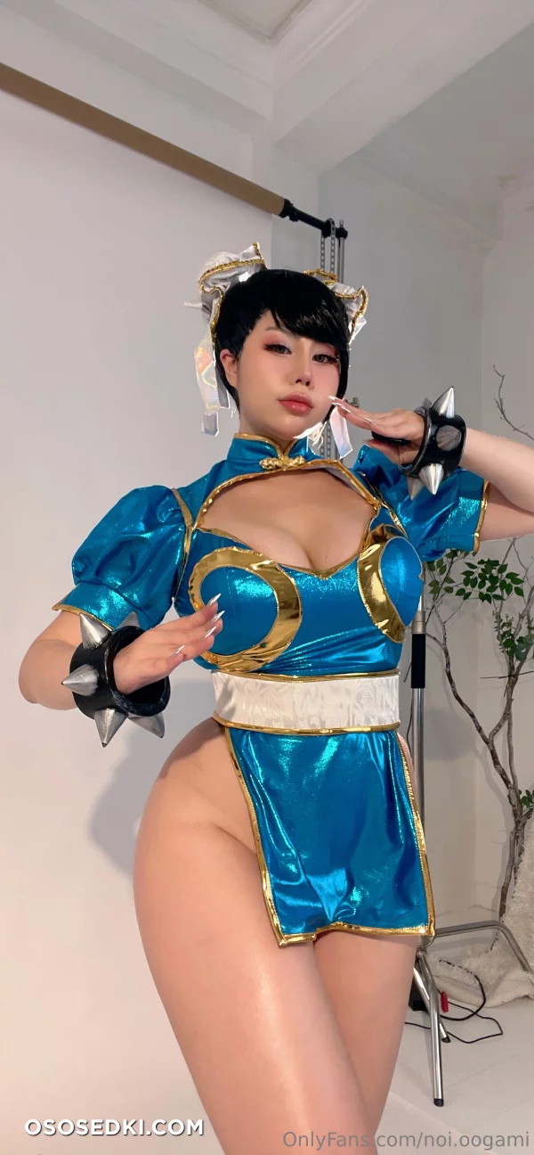 Noi Oogami - Chun Li - 5