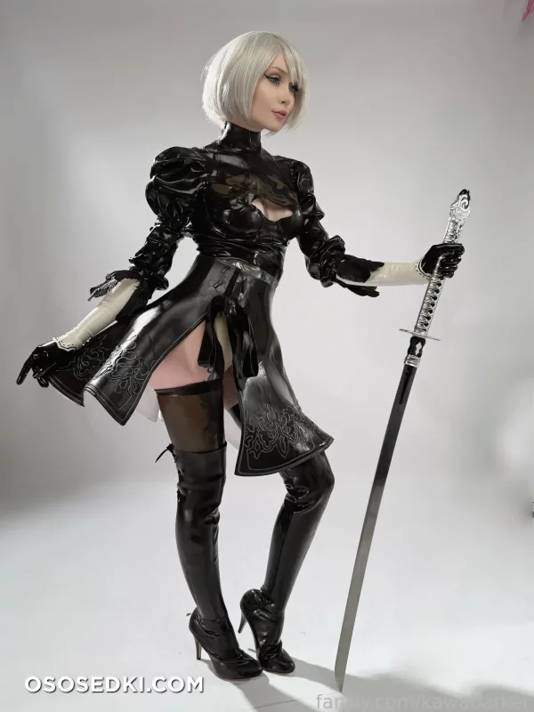 Zirael Rem - 2b - Nier Automata - 39