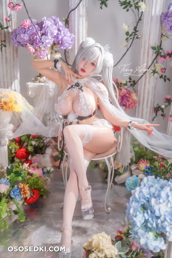 Tiny Asa - Cinderella - Goddess Of Victory Nikke - 12
