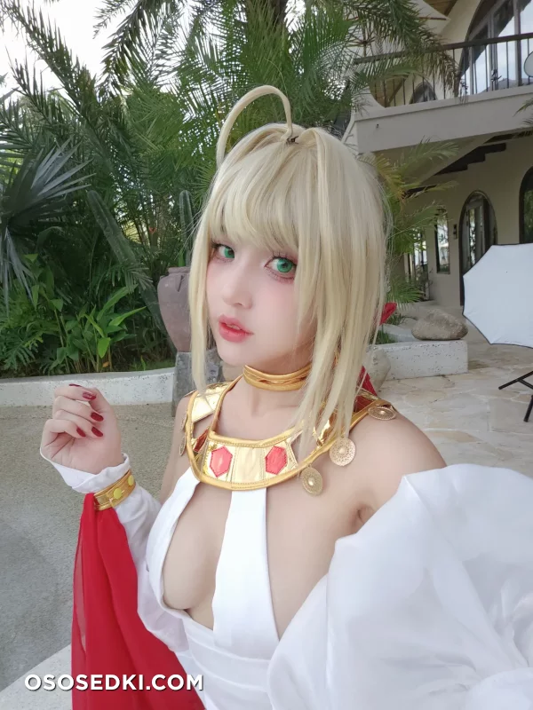 Puypuychan - Red Saber | Nero Claudius Caesar Augustus Germanicus - Fate Grand Order - 65