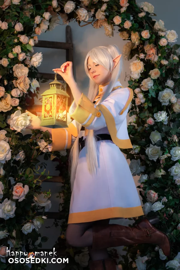 Happy Manek - Frieren - Sousou No Frieren | Frieren Beyond Journeys End - 1