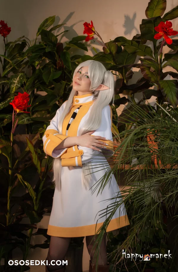 Happy Manek - Frieren - Sousou No Frieren | Frieren Beyond Journeys End - 8