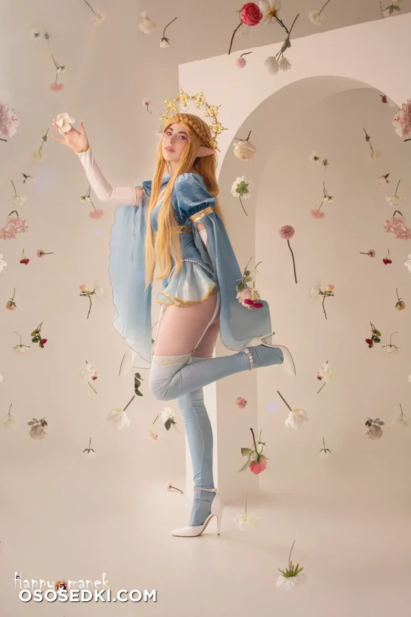 Happy Manek - Princess Zelda - The Legend Of Zelda - 24