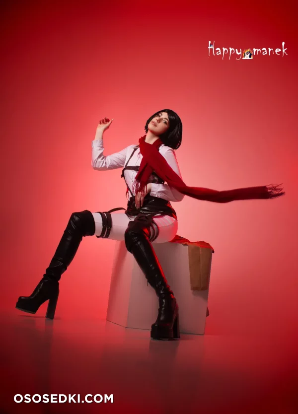 Happy Manek - Mikasa Ackerman - Shingeki No Kyojin | Attack On Titan - 13