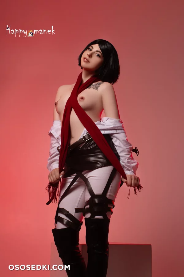 Happy Manek - Mikasa Ackerman - Shingeki No Kyojin | Attack On Titan - 19
