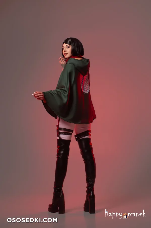 Happy Manek - Mikasa Ackerman - Shingeki No Kyojin | Attack On Titan - 3