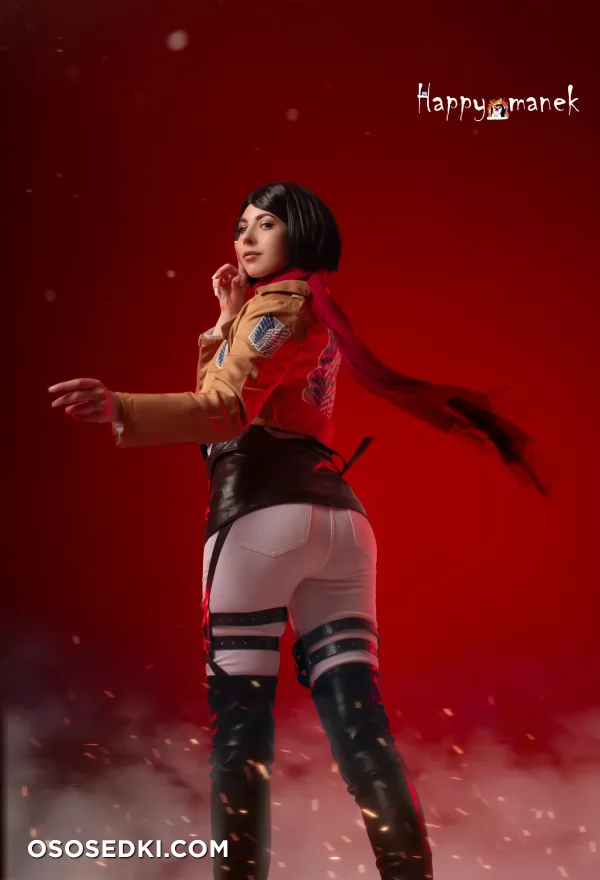 Happy Manek - Mikasa Ackerman - Shingeki No Kyojin | Attack On Titan - 4