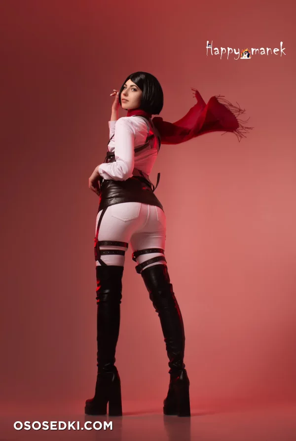 Happy Manek - Mikasa Ackerman - Shingeki No Kyojin | Attack On Titan - 6