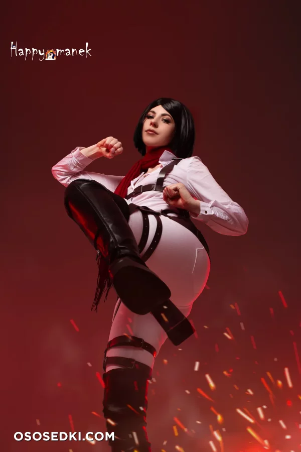 Happy Manek - Mikasa Ackerman - Shingeki No Kyojin | Attack On Titan - 7