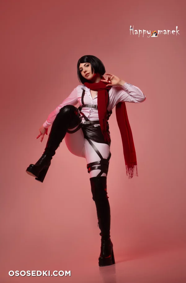 Happy Manek - Mikasa Ackerman - Shingeki No Kyojin | Attack On Titan - 9
