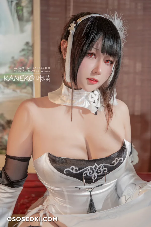 Kaneko-kamiao - Chen Hai - Azur Lane - 7
