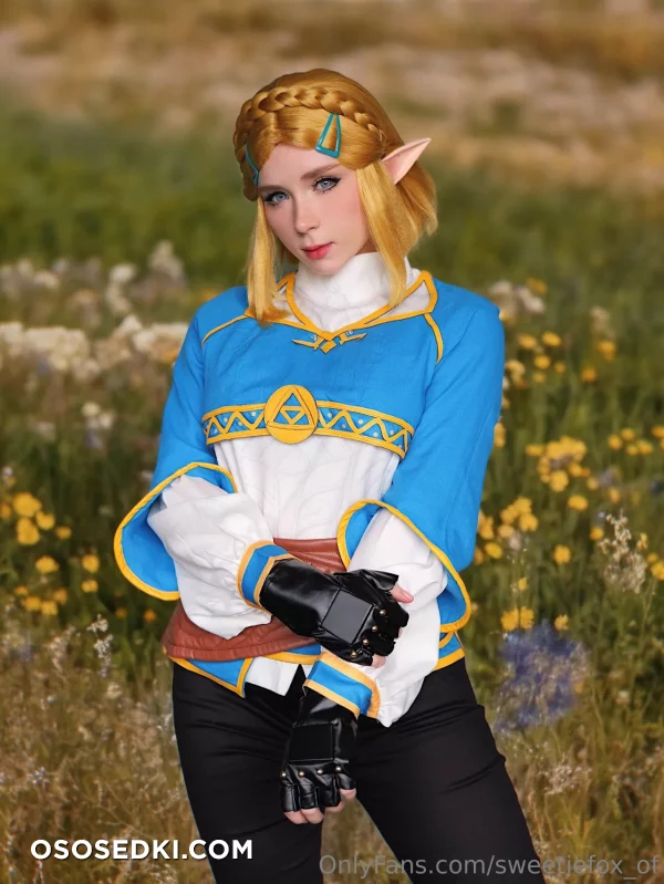Sweetie Fox - Princess Zelda - The Legend Of Zelda - 1