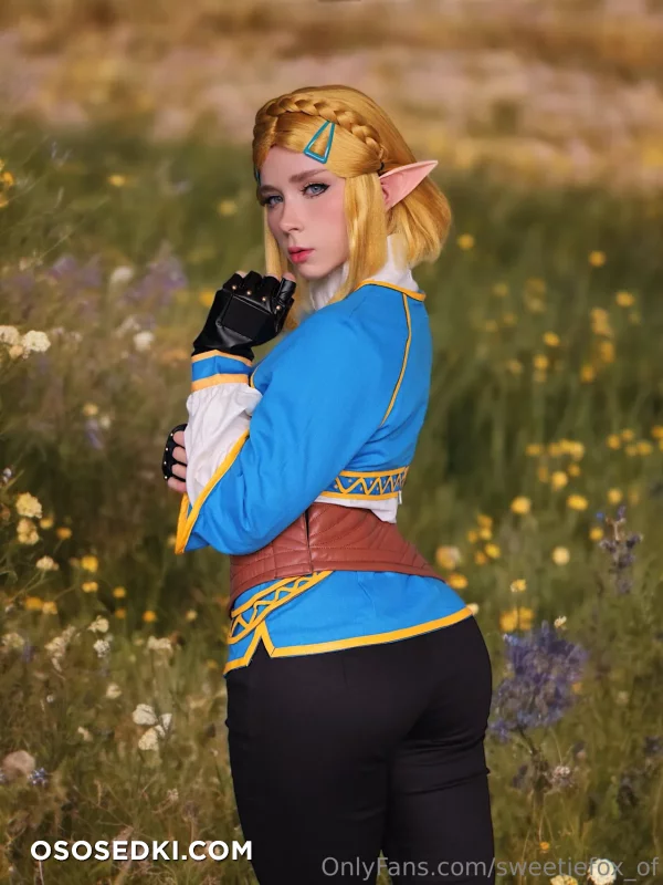 Sweetie Fox - Princess Zelda - The Legend Of Zelda - 2
