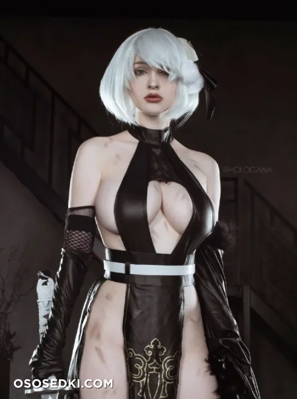 Hologana - 2b - Nier Automata - 19