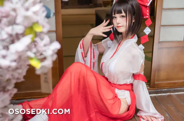 Mizhimaoqiu - Reimu Hakurei - Touhou Project - 9