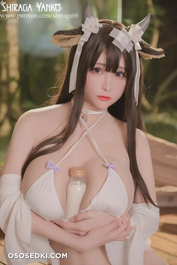 Shiraga Yanko - Kashino - Azur Lane - 4