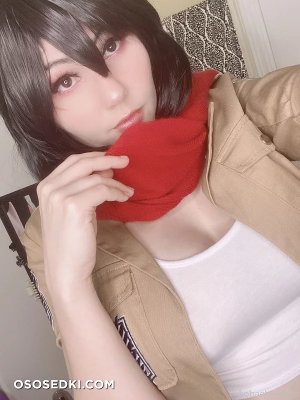 Kobaebeefboo - Mikasa Ackerman - Shingeki No Kyojin | Attack On Titan - 15