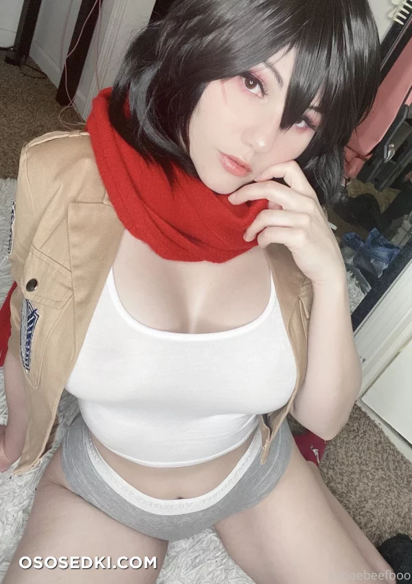 Kobaebeefboo - Mikasa Ackerman - Shingeki No Kyojin | Attack On Titan - 23