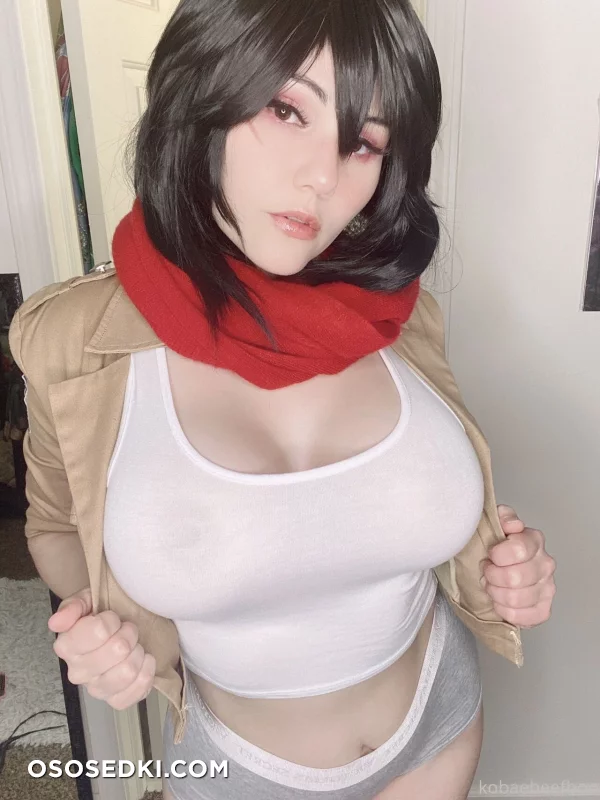 Kobaebeefboo - Mikasa Ackerman - Shingeki No Kyojin | Attack On Titan - 27