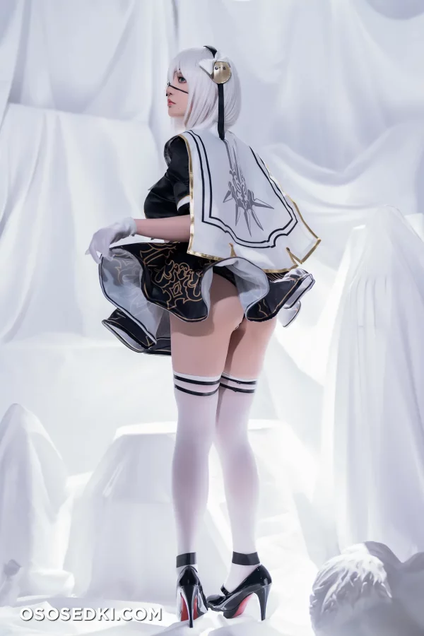 Hoshilily - 2b - Nier Automata - 12