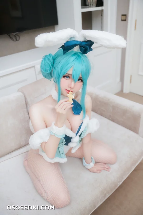 Sally Dorasnow - Miku Hatsune - Vocaloid - 9
