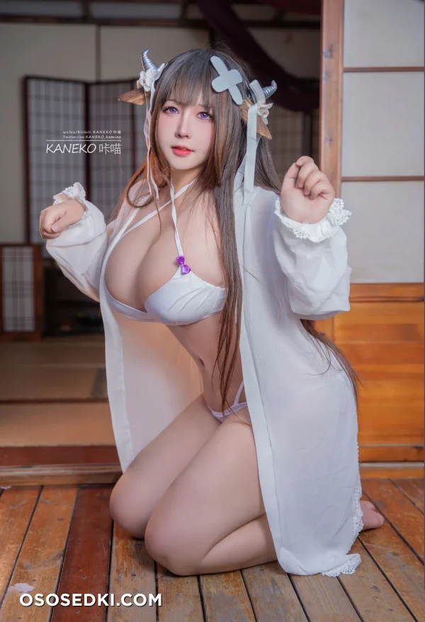 Kaneko-kamiao - Kashino - Azur Lane - 13