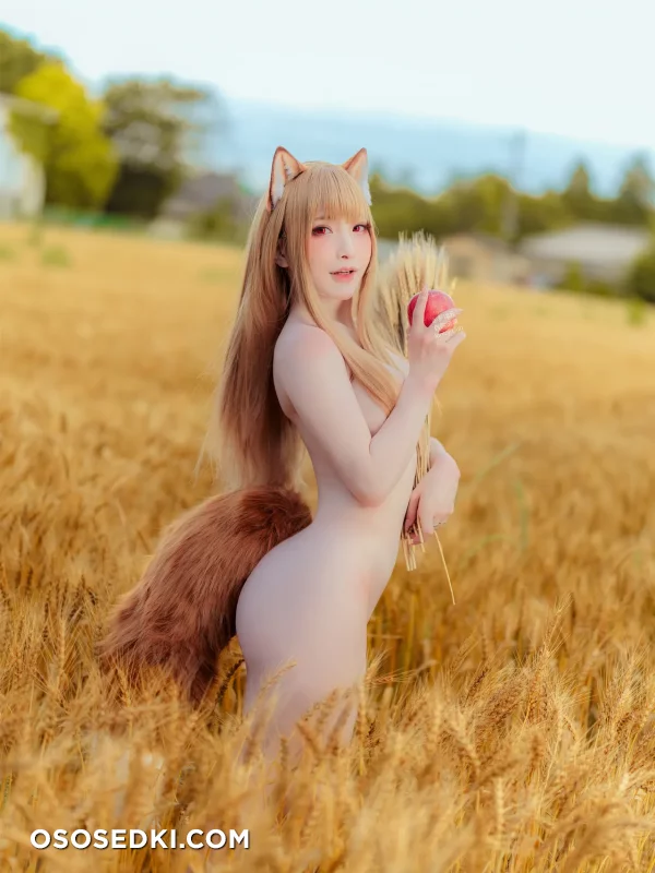 Siao Ding - Holo - Spice And Wolf | Ookami To Koushinryou - 13