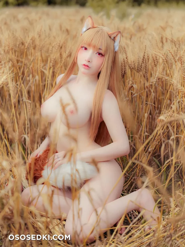 Siao Ding - Holo - Spice And Wolf | Ookami To Koushinryou - 23