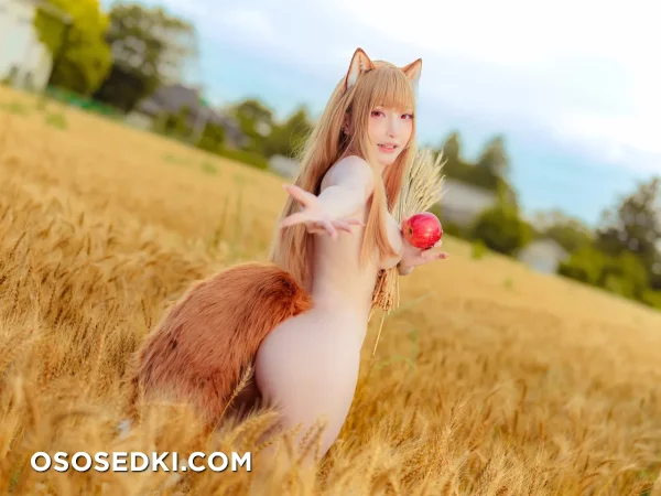 Siao Ding - Holo - Spice And Wolf | Ookami To Koushinryou - 27