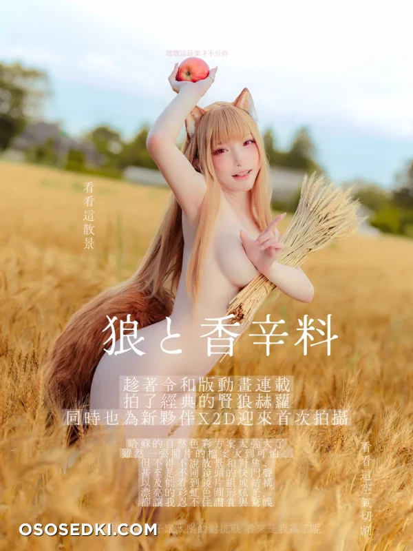 Siao Ding - Holo - Spice And Wolf | Ookami To Koushinryou - 28