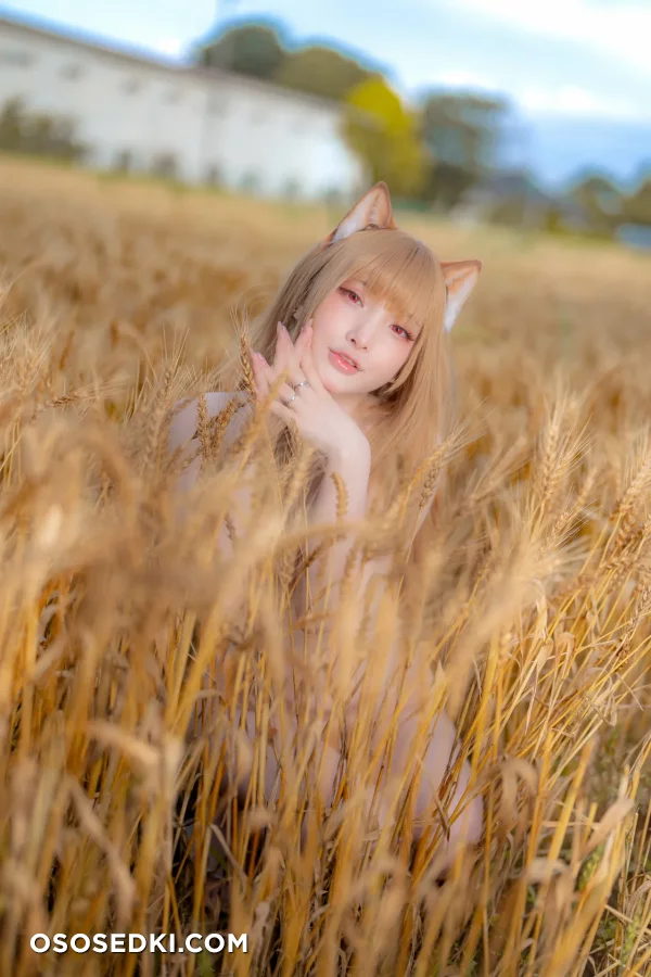 Siao Ding - Holo - Spice And Wolf | Ookami To Koushinryou - 3