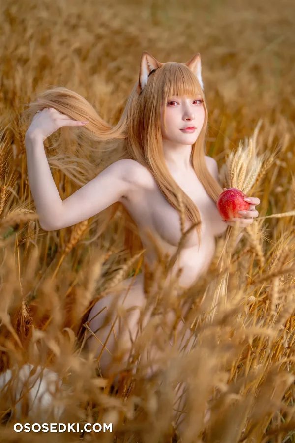Siao Ding - Holo - Spice And Wolf | Ookami To Koushinryou - 6