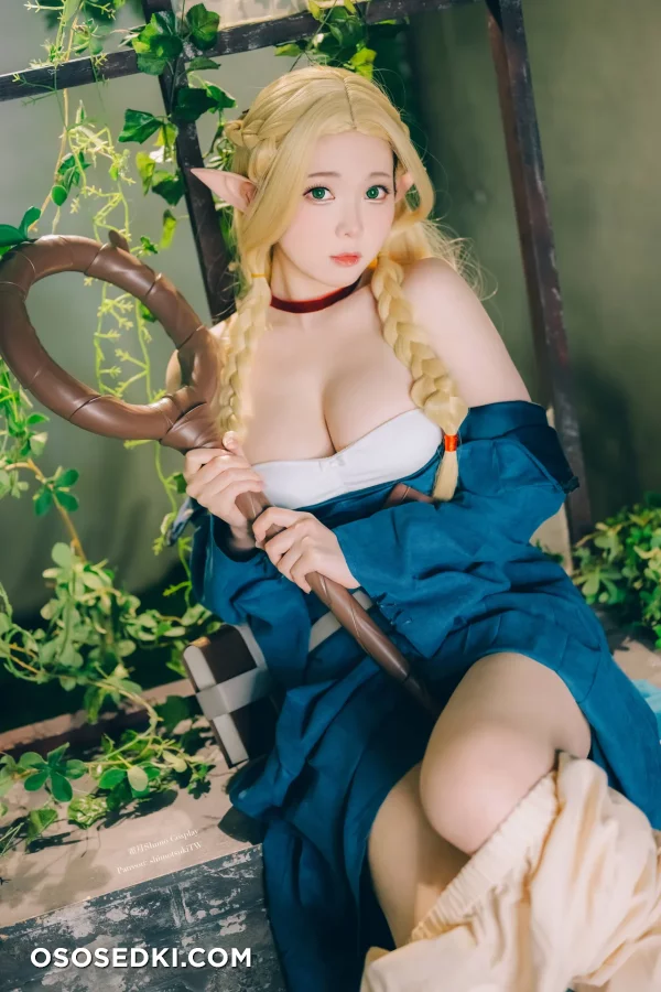 Shimotsuki - Marcille Donato - Dungeon Meshi - 4