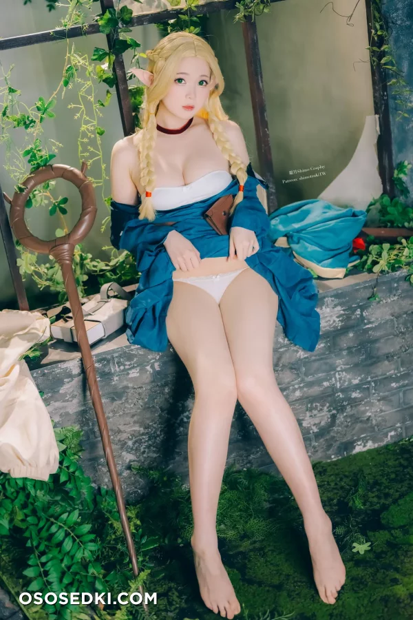 Shimotsuki - Marcille Donato - Dungeon Meshi - 9