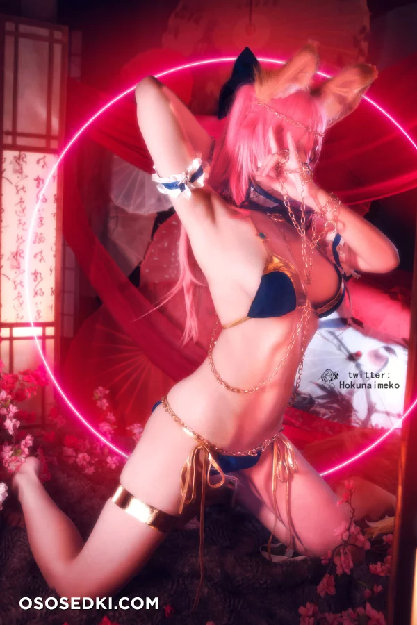 Hokunaimeko - Tamamo No Mae - Fate Grand Order - 51