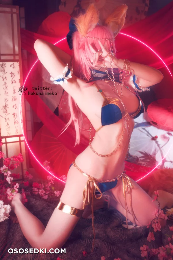 Hokunaimeko - Tamamo No Mae - Fate Grand Order - 52
