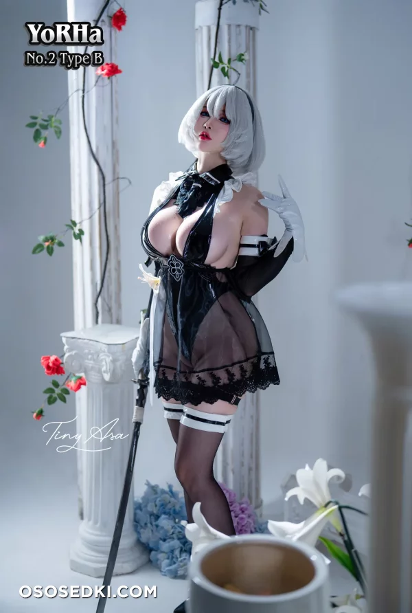 Tiny Asa - 2b - Nier Automata - 46