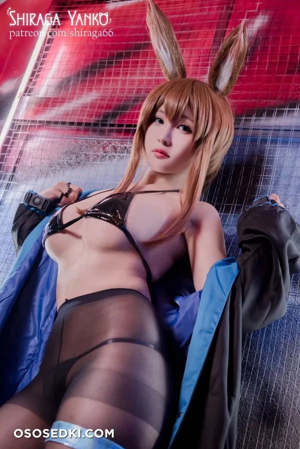 Shiraga Yanko - Amiya - Arknights - 4