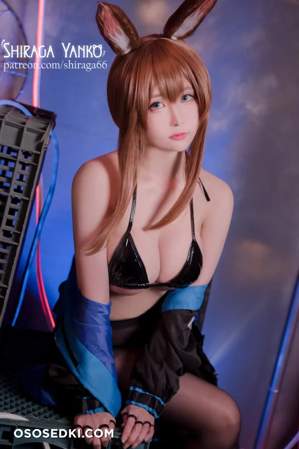 Shiraga Yanko - Amiya - Arknights - 7