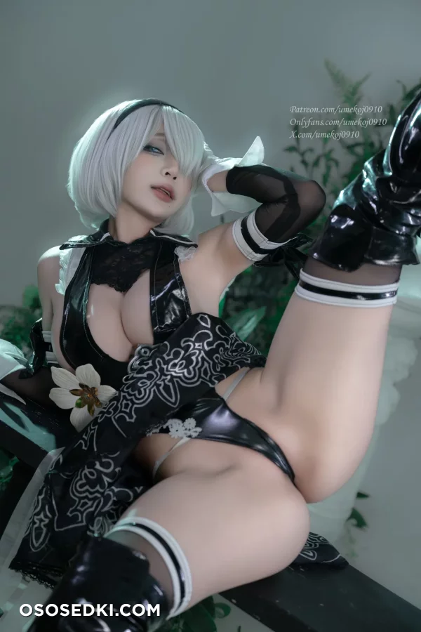 Umeko J - 2b - Nier Automata - 13