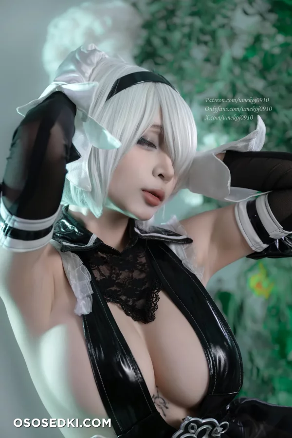 Umeko J - 2b - Nier Automata - 17