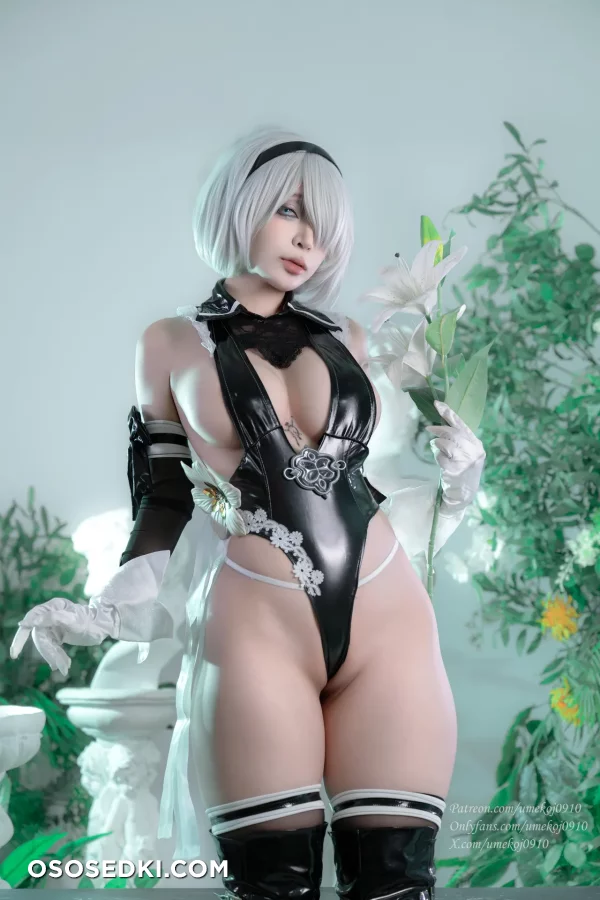 Umeko J - 2b - Nier Automata - 20