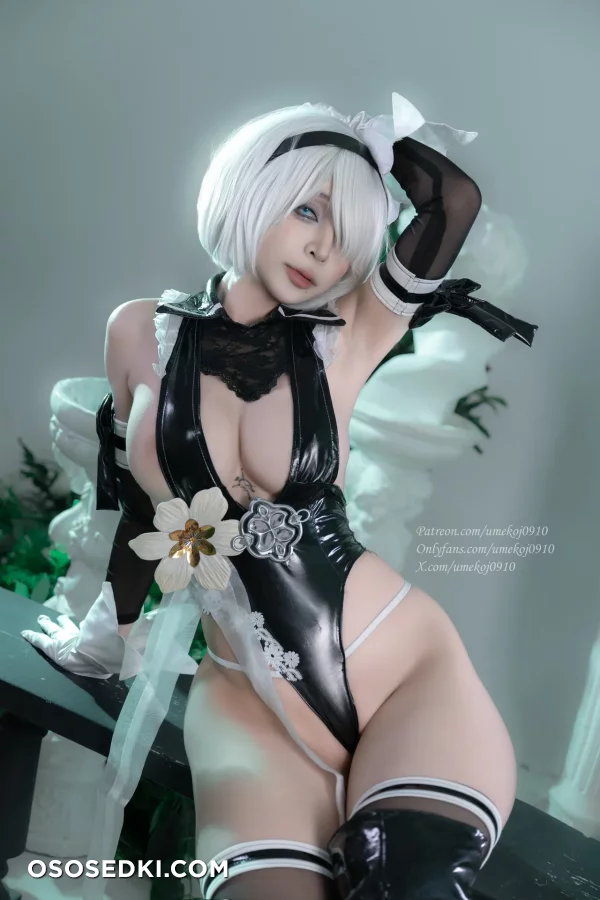 Umeko J - 2b - Nier Automata - 29