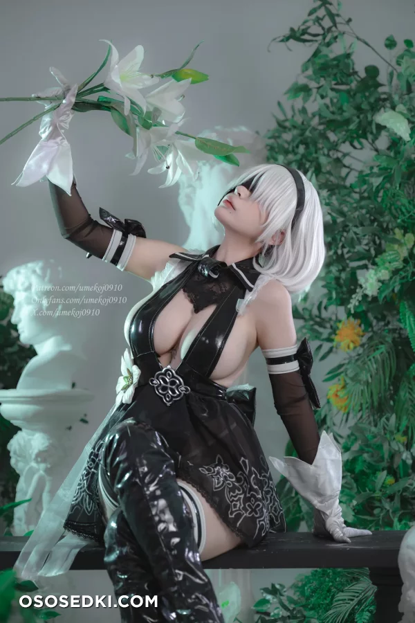 Umeko J - 2b - Nier Automata - 3