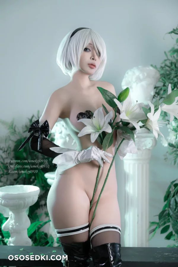 Umeko J - 2b - Nier Automata - 38
