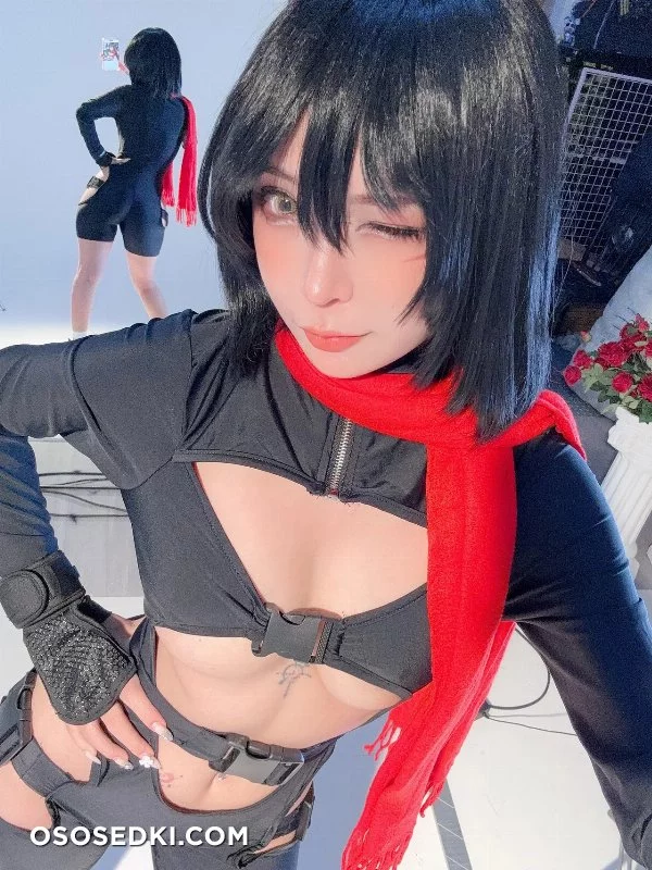 Umeko J - Mikasa Ackerman - Shingeki No Kyojin | Attack On Titan - 90