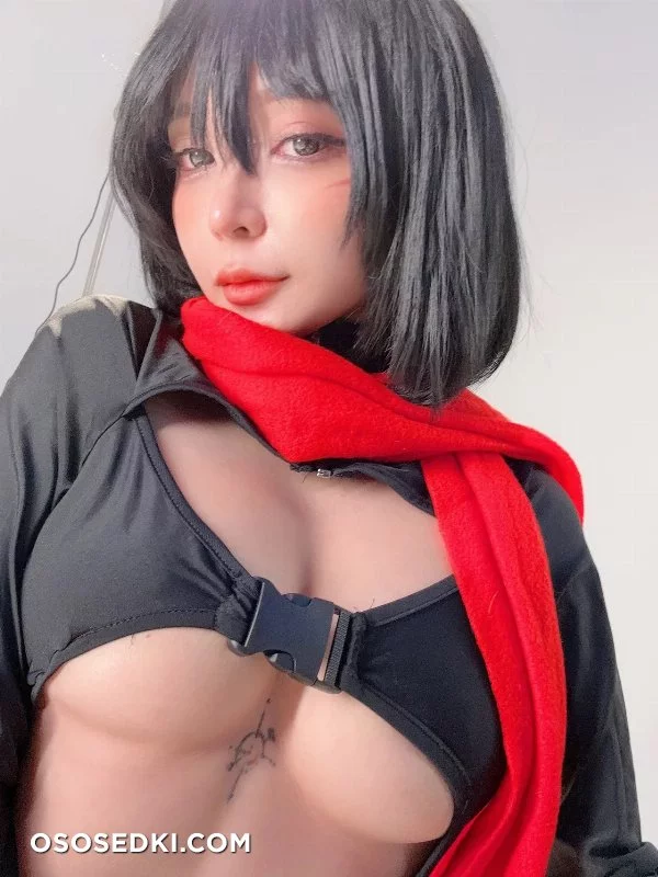 Umeko J - Mikasa Ackerman - Shingeki No Kyojin | Attack On Titan - 96